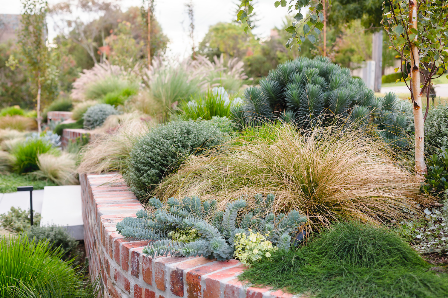 Herbert St COS Design